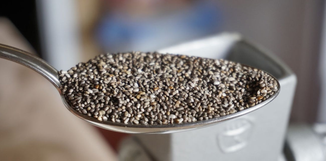 Chia-Samen