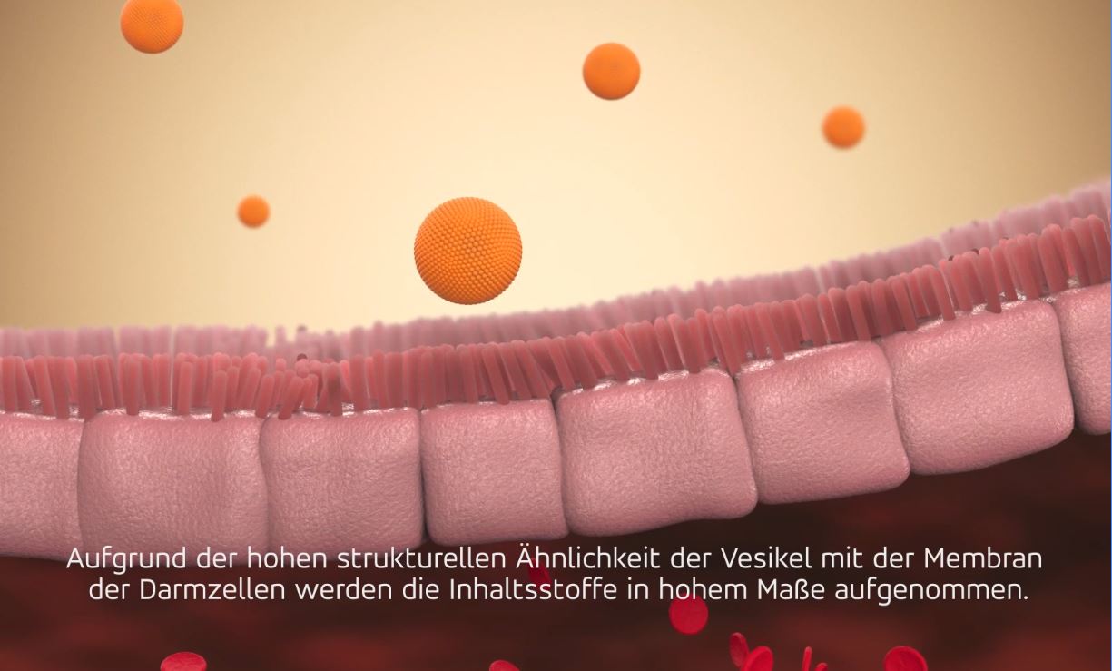 Video laden: 